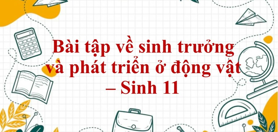 60 Bài tập về sinh trưởng và phát triển ở động vật (2024) có đáp án chi tiết nhất