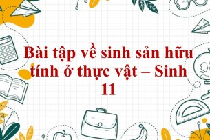 60 Bài tập về sinh sản hữu tính ở thực vật (2024) có đáp án chi tiết nhất