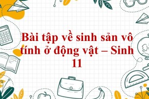 60 Bài tập về sinh sản vô tính ở động vật (2024) có đáp án chi tiết nhất