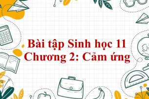 1000 Bài tập Sinh học 11 Chương 2: Cảm ứng (có đáp án năm 2023)