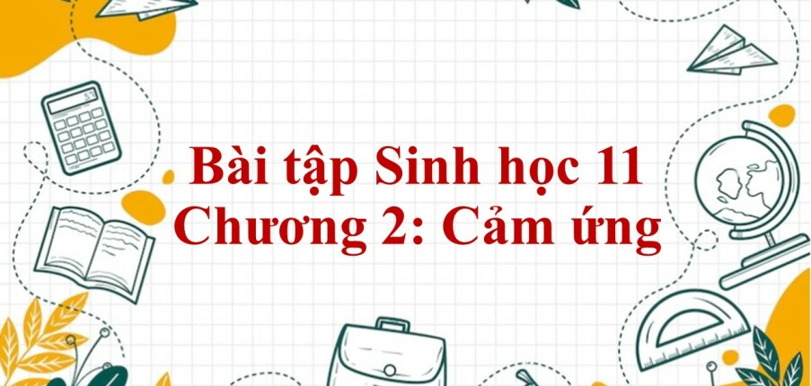 1000 Bài tập Sinh học 11 Chương 2: Cảm ứng (có đáp án năm 2023)