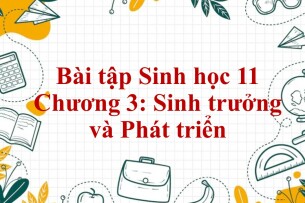 1000 Bài tập Sinh học 11 Chương 3: Sinh trưởng và Phát triển (có đáp án năm 2023)