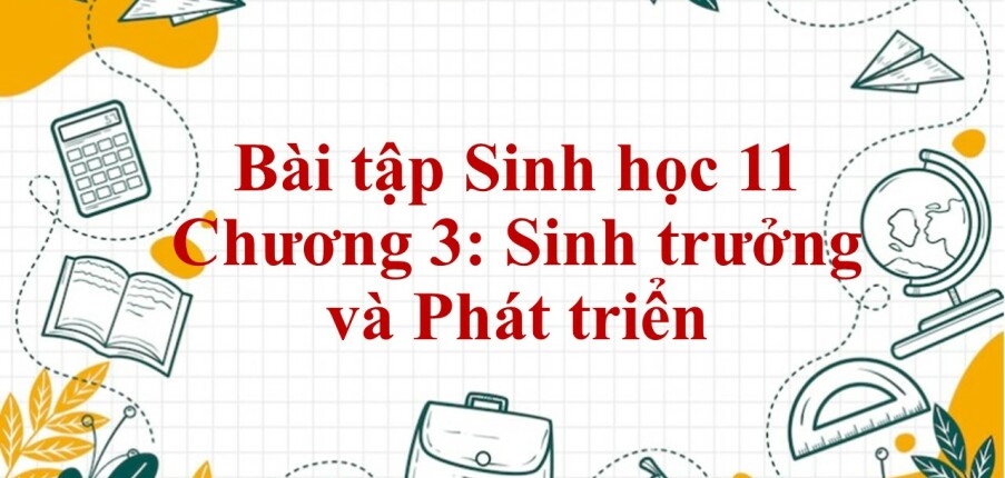 1000 Bài tập Sinh học 11 Chương 3: Sinh trưởng và Phát triển (có đáp án năm 2023)