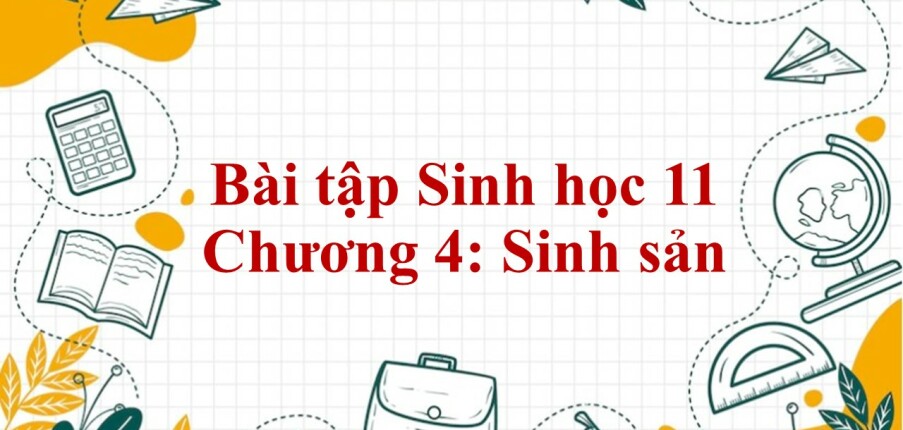 1000 Bài tập Sinh học 11 Chương 4: Sinh sản (có đáp án năm 2023)