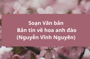 Văn bản Bản tin về hoa anh đào (Nguyễn Vĩnh Nguyên)- Nội dung, Tác giả tác phẩm