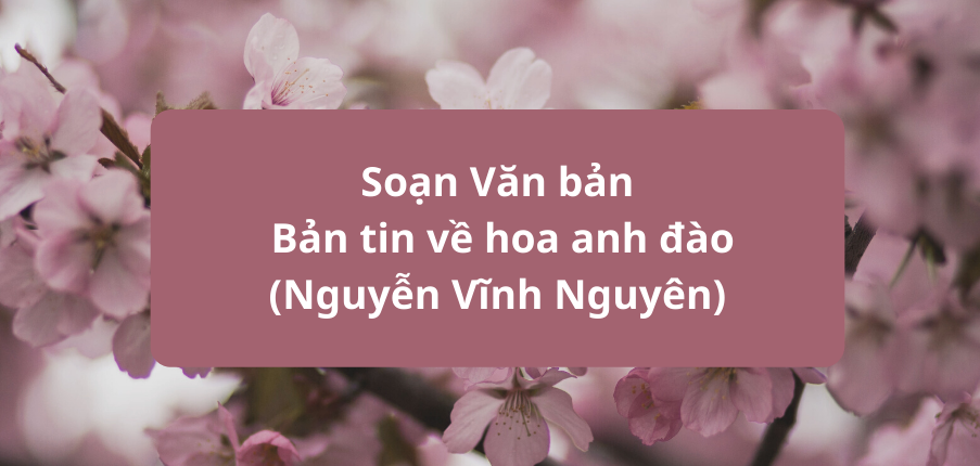 Văn bản Bản tin về hoa anh đào (Nguyễn Vĩnh Nguyên)- Nội dung, Tác giả tác phẩm