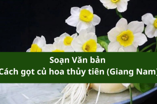 Văn bản Cách gọt củ hoa thủy tiên (Giang Nam) - Nội dung, Tác giả tác phẩm