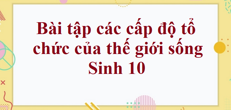 50 Bài tập các cấp độ tổ chức của thế giới sống (2024) có đáp án chi tiết nhất