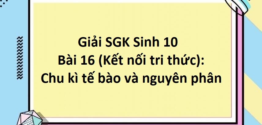 Giải SGK Sinh 10 (Kết nối tri thức) Bài 16: Chu kì tế bào và nguyên phân