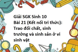 Giải SGK Sinh 10 (Kết nối tri thức) Bài 21: Trao đổi chất, sinh trưởng và sinh sản ở vi sinh vật