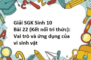 Giải SGK Sinh 10 (Kết nối tri thức) Bài 22: Vai trò và ứng dụng của vi sinh vật