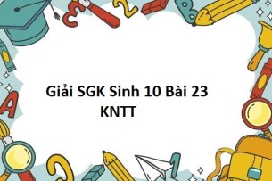 Giải SGK Sinh 10 (Kết nối tri thức) Bài 23: Thực hành một số phương pháp nghiên cứu vi sinh vật thông dụng