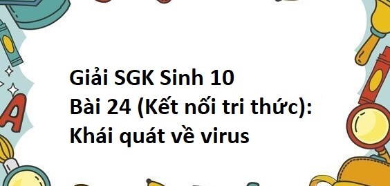 Giải SGK Sinh 10 (Kết nối tri thức) Bài 24: Khái quát về virus