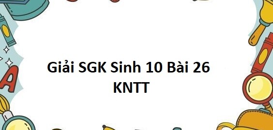 Giải SGK Sinh 10 (Kết nối tri thức) Bài 26: Thực hành điều tra một số bệnh do virus và tuyên truyền phòng chống bệnh