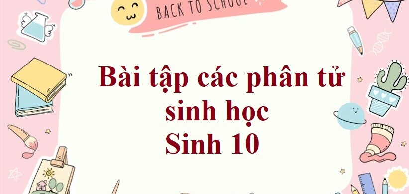 50 Bài tập các phân tử sinh học (2024) có đáp án chi tiết nhất