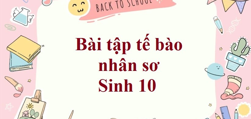 50 Bài tập tế bào nhân sơ (2024) có đáp án chi tiết nhất