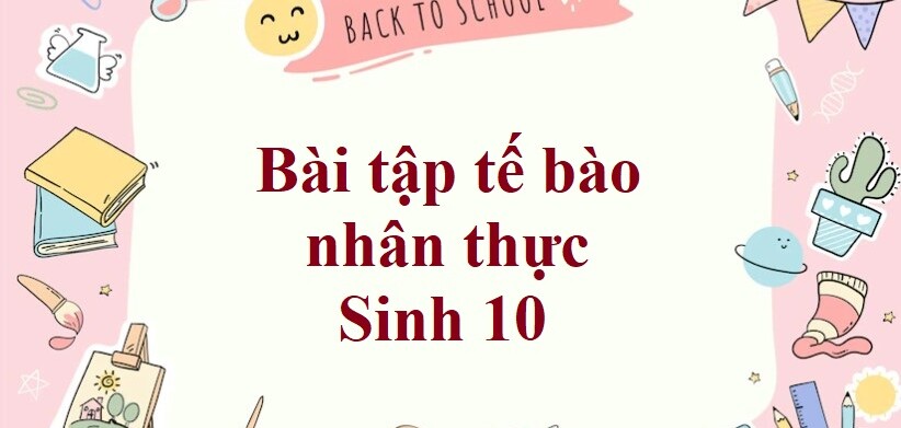 50 Bài tập tế bào nhân thực (2024) có đáp án chi tiết nhất