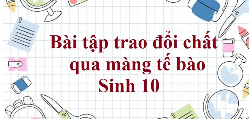 50 Bài tập trao đổi chất qua màng tế bào (2024) có đáp án chi tiết nhất