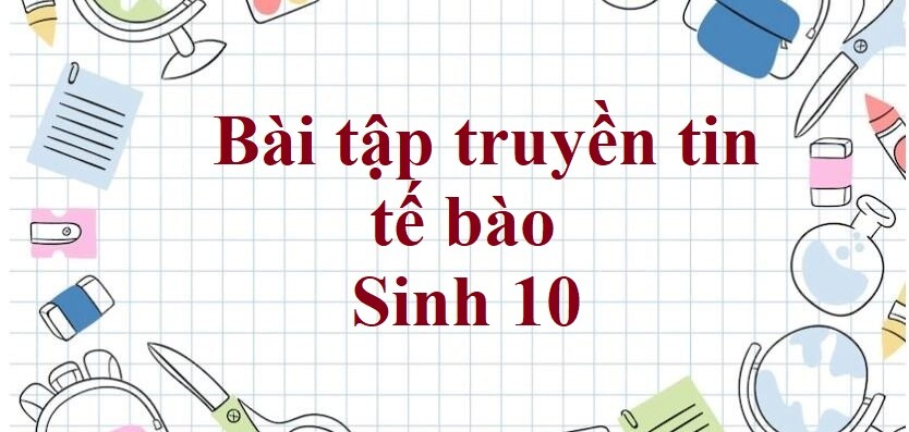 50 Bài tập truyền tin tế bào (2024) có đáp án chi tiết nhất