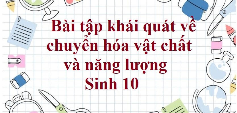 50 Bài tập khái quát về chuyển hóa vật chất và năng lượng (2024) có đáp án chi tiết nhất