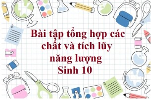 50 Bài tập tổng hợp các chất và tích lũy năng lượng (2024) có đáp án chi tiết nhất