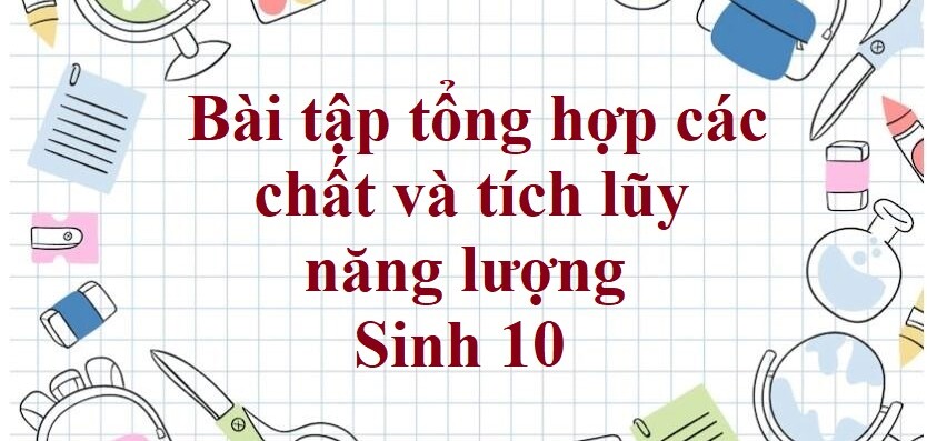 50 Bài tập tổng hợp các chất và tích lũy năng lượng (2024) có đáp án chi tiết nhất