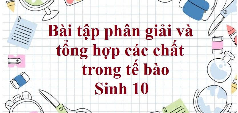 50 Bài tập phân giải và tổng hợp các chất trong tế bào (2024) có đáp án chi tiết nhất