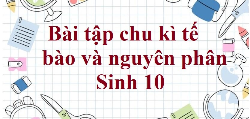 50 Bài tập chu kì tế bào và nguyên phân (2024) có đáp án chi tiết nhất