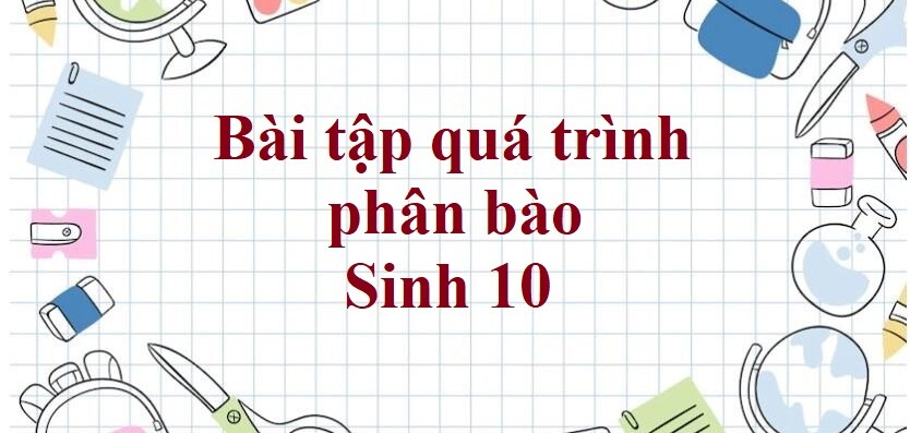 50 Bài tập quá trình phân bào (2024) có đáp án chi tiết nhất