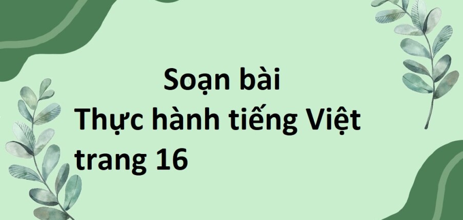 Soạn bài Thực hành tiếng Việt lớp 8 trang 16 Tập 1 | Kết nối tri thức