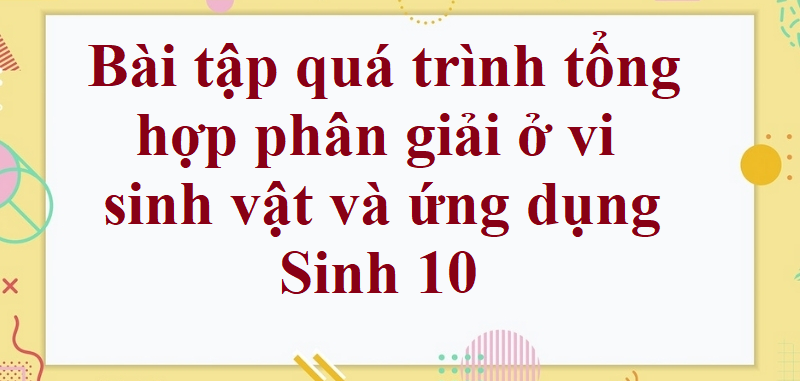 50 Bài tập quá trình tổng hợp phân giải ở vi sinh vật và ứng dụng (2024) có đáp án chi tiết nhất