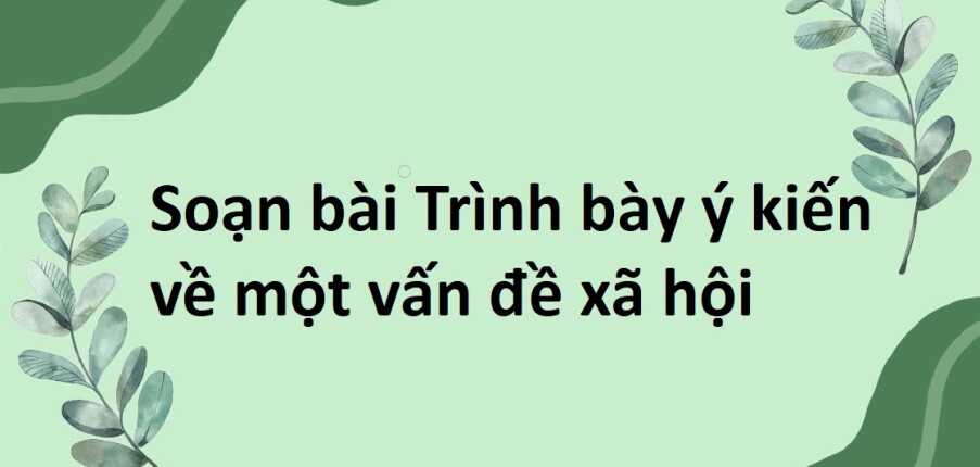 Soạn bài Trình bày ý kiến về một vấn đề xã hội lớp 8 | Cánh diều