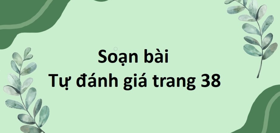 Soạn bài Tự đánh giá lớp 8 trang 38 Tập 1 | Cánh diều