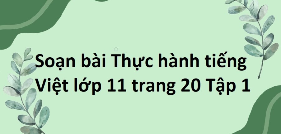 Soạn bài Thực hành tiếng Việt lớp 11 trang 20 Tập 1 | Chân trời sáng tạo