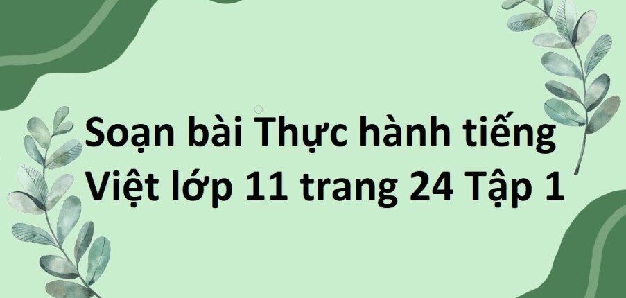 Soạn bài Thực hành tiếng Việt lớp 11 trang 24 Tập 1 | Cánh diều