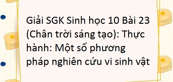 Giải SGK Sinh học 10 (Chân trời sáng tạo) Bài 23: Thực hành: Một số phương pháp nghiên cứu vi sinh vật