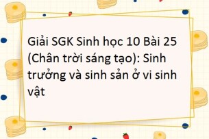 Giải SGK Sinh học 10 (Chân trời sáng tạo) Bài 25: Sinh trưởng và sinh sản ở vi sinh vật