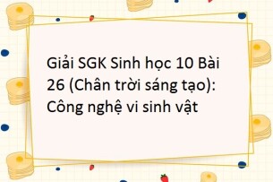 Giải SGK Sinh học 10 (Chân trời sáng tạo) Bài 26: Công nghệ vi sinh vật