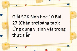 Giải SGK Sinh học 10 (Chân trời sáng tạo) Bài 27: Ứng dụng vi sinh vật trong thực tiễn