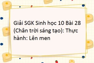 Giải SGK Sinh học 10 (Chân trời sáng tạo) Bài 28: Thực hành: Lên men