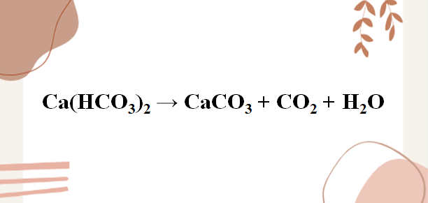 Ca(HCO3)2 → CaCO3 + CO2 + H2O | Ca(HCO3)2 ra CaCO3 | Ca(HCO3)2 ra CO2 | Ca(HCO3)2 ra H2O