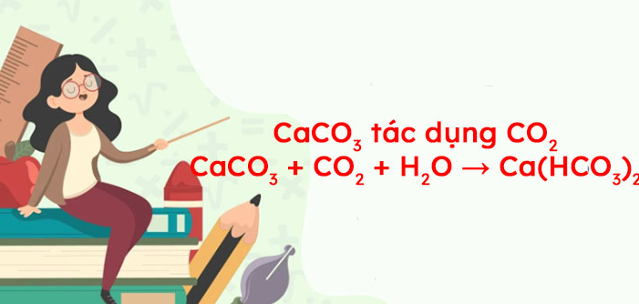 CaCO3 + CO2 + H2O → Ca(HCO3)2 | CaCO3 ra Ca(HCO3)2