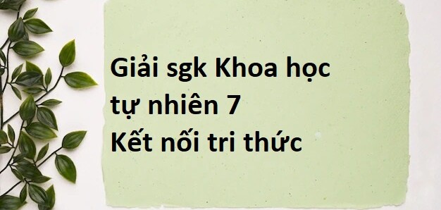 Giải SGK Khoa học tự nhiên 7 Bài 21 (Kết nối tri thức): Khái quát về trao đổi chất và chuyển hóa năng lượng