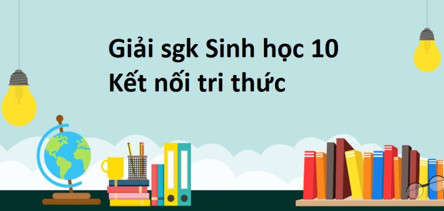 Giải SGK Sinh 10 (Kết nối tri thức) Bài 9: Thực hành quan sát tế bào