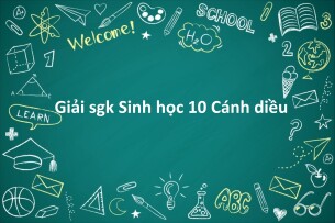 Giải SGK Sinh học 10 (Cánh diều) Bài 12: Thông tin tế bào