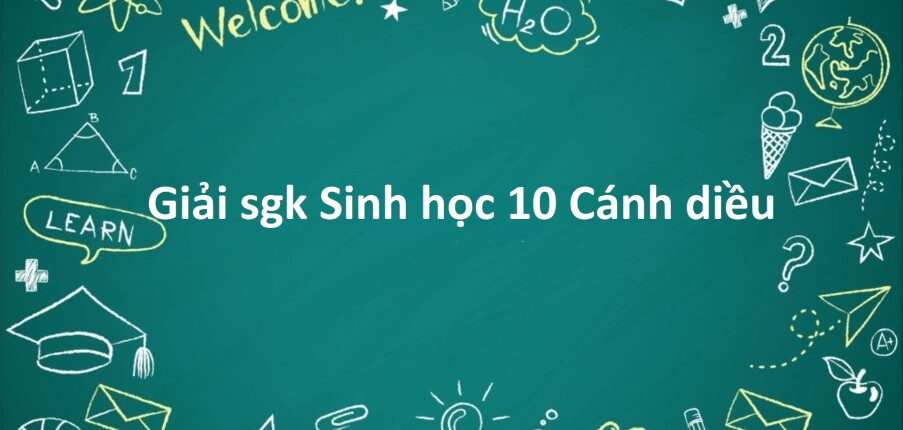 Giải SGK Sinh học 10 (Cánh diều) Bài 19: Quá trình tổng họp phân giải ở vi sinh vật và ứng dụng