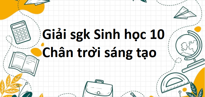 Giải SGK Sinh học 10 (Chân trời sáng tạo) Bài 3: Các cấp độ tổ chức của thế giới sống