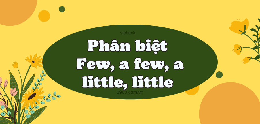 Phân biệt Few, a few, a little, little đầy đủ ,chi tiết nhất gồm công thức, cách dùng, đồng nghĩa và bài tập vận dụng.