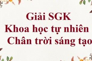 Giải SGK Khoa học tự nhiên 7 Bài 2 (Chân trời sáng tạo): Nguyên tử