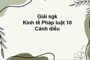 Giải SGK Kinh tế Pháp luật 10 (Cánh diều) Bài 16: Hiến pháp nước Cộng hòa xã hội chủ nghĩa Việt Nam về quyền con người, quyền và nghĩa vụ cơ bản của công dân